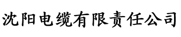 小蝌蚪app导航电缆厂logo